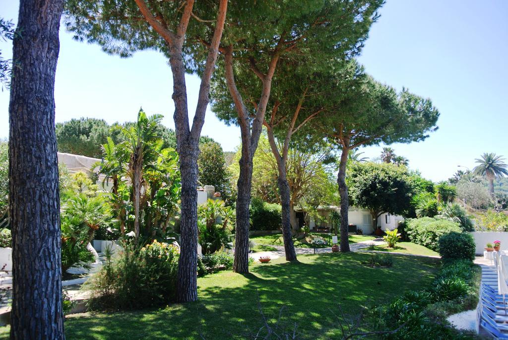 Paradiso Terme Resort & Spa Con 5 Piscine Termali Forio di Ischia Exterior foto